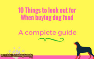 Dog food buying guide