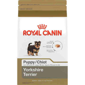 Royal Canin yorkshire terrier