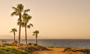 Places to Visit in Southern California