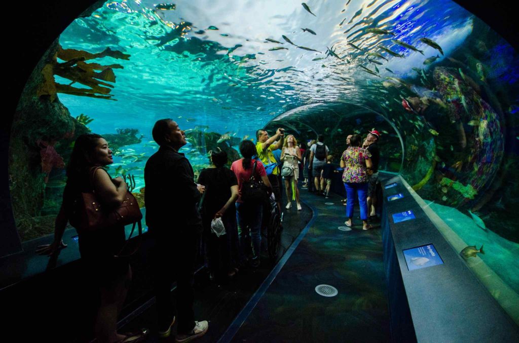 Ripley's Aquarium of Canada, Toronto, Canada