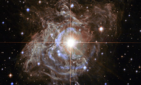 Hubble image of variable star RS Puppis
