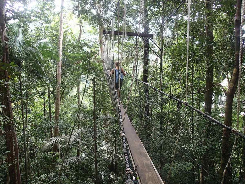 Taman Negara Canopy Walkway, Malaysia