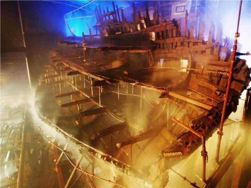 THE MARY ROSE