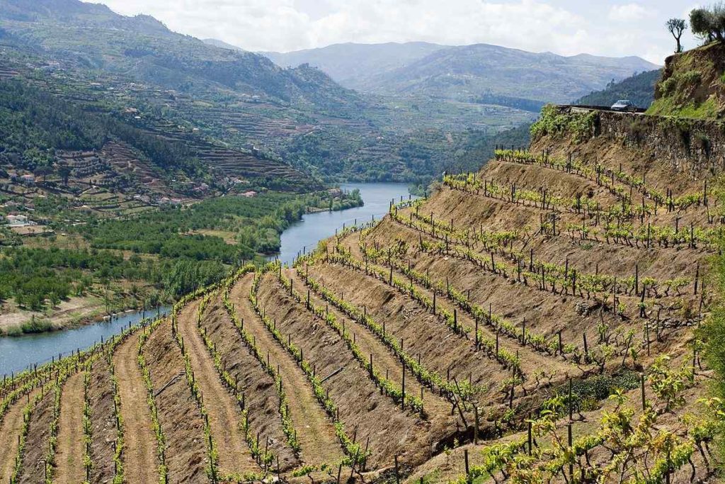 Duoro Valley, Northern-Central Spain and Portugal