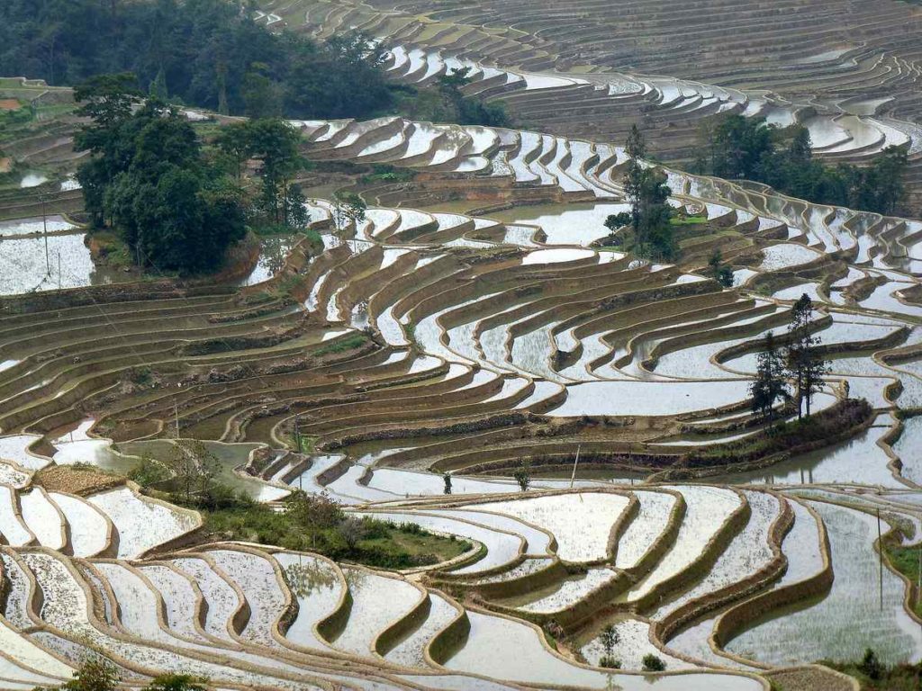 Hani rice terraces, China