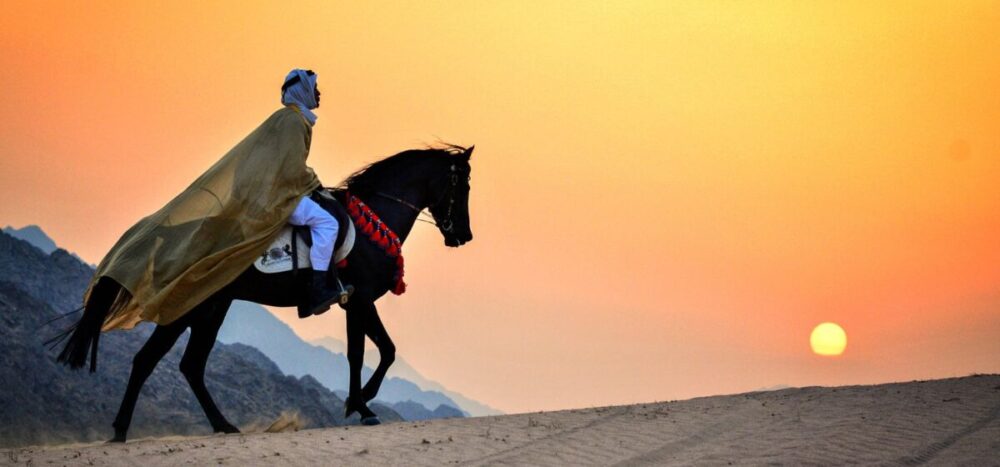 Horse Ride egypt
