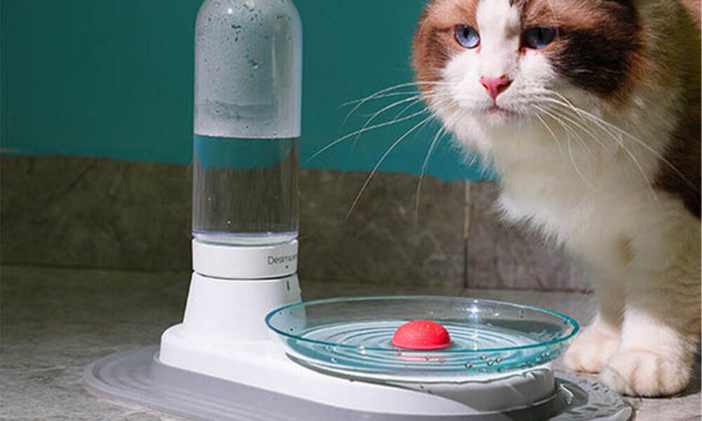 Advantages and Features of the Durable Cat Water Fountains